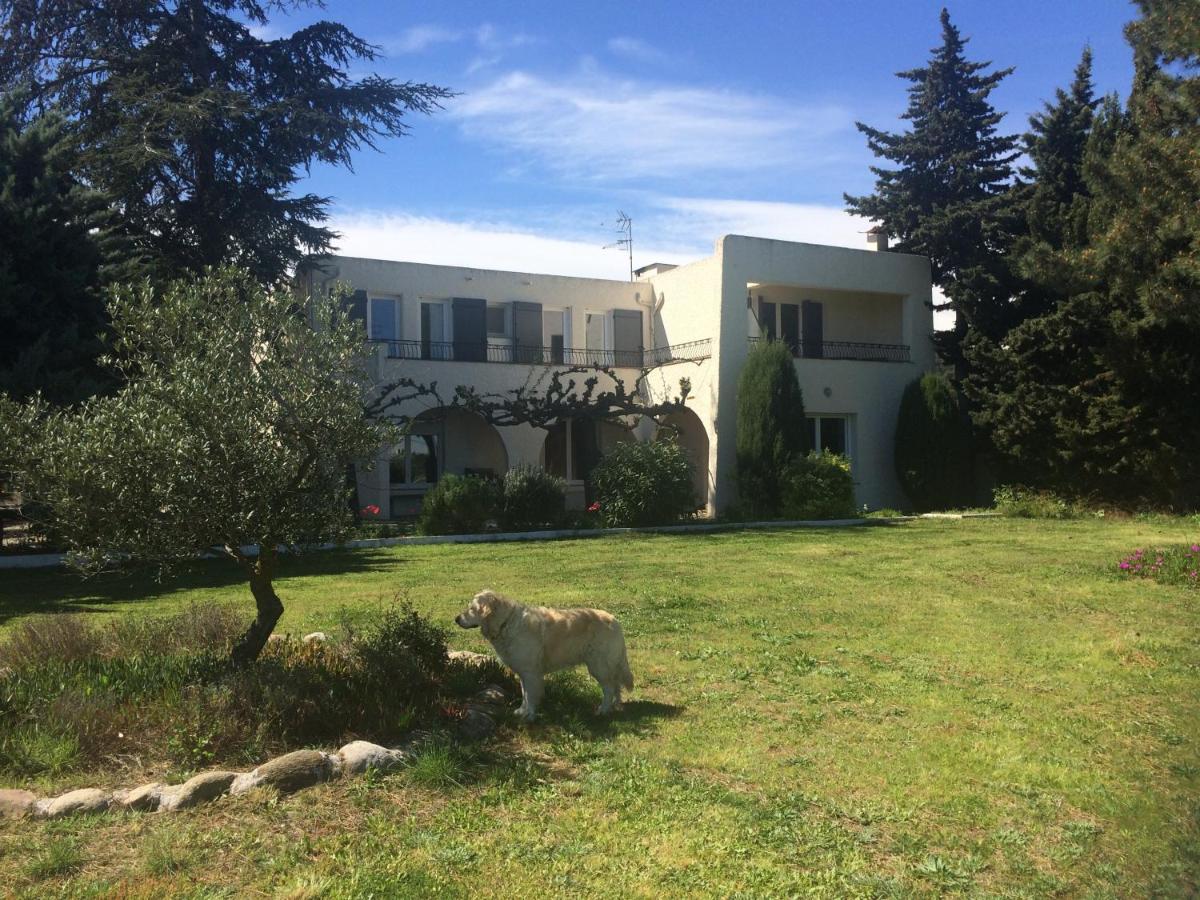 Chambre D'Hotes Villa Cote Vermeille Argelès-sur-Mer Exterior foto